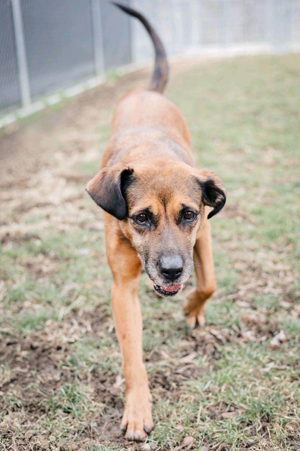 Bridgett thumbnail 3