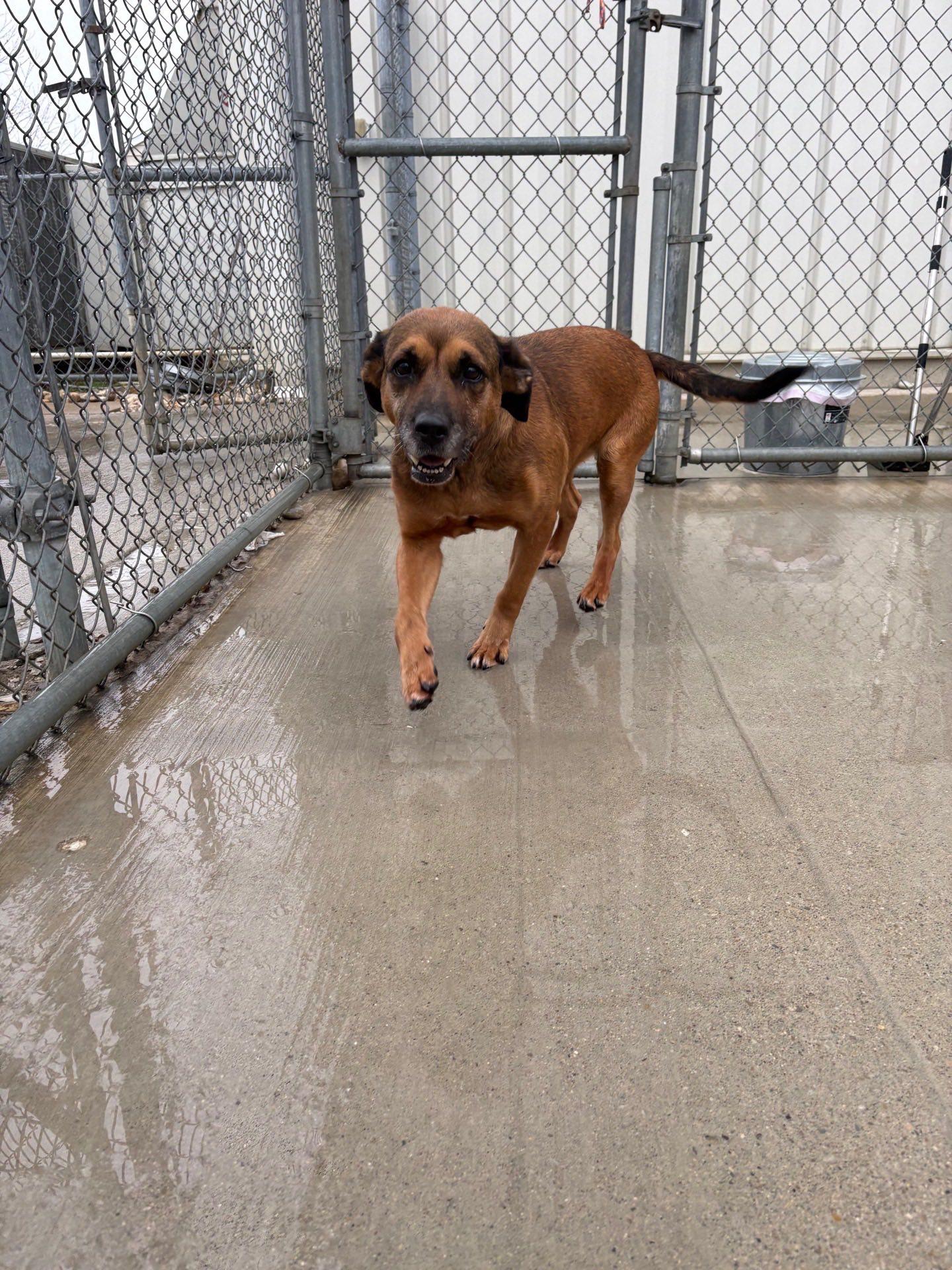 Bridgett thumbnail 5