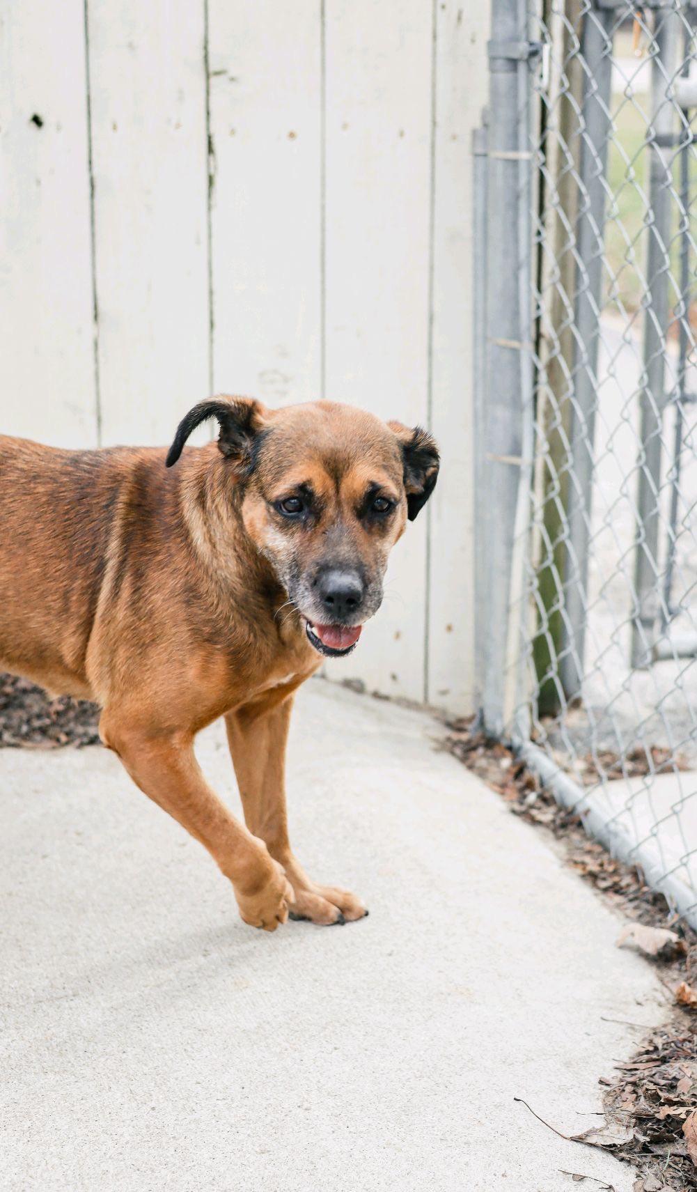 Bridgett thumbnail 6