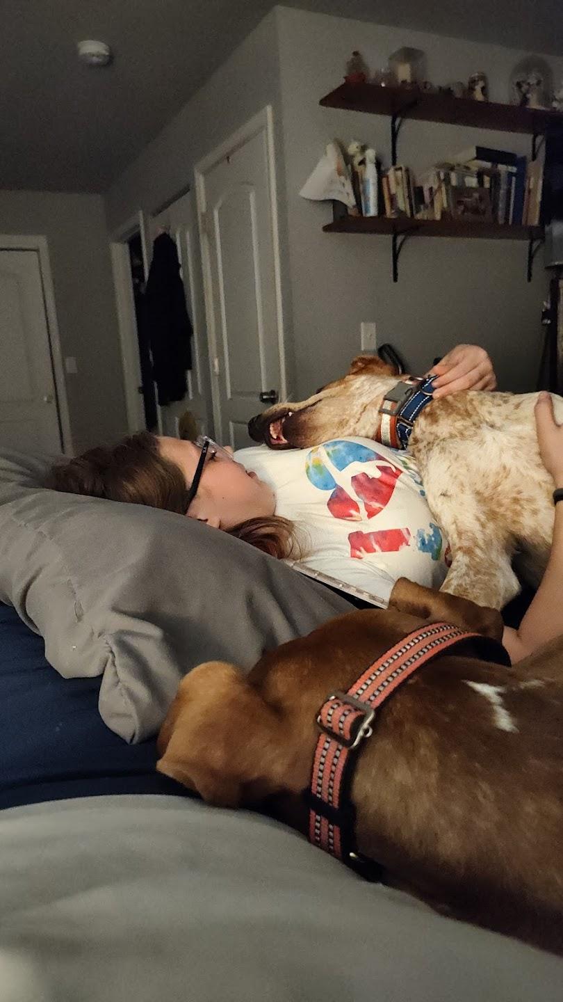 Enlarge Copper, a Adoptable English Coonhound in Hammond, IN image 6/6