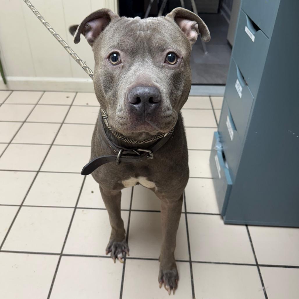 Blue — thumbnail 2