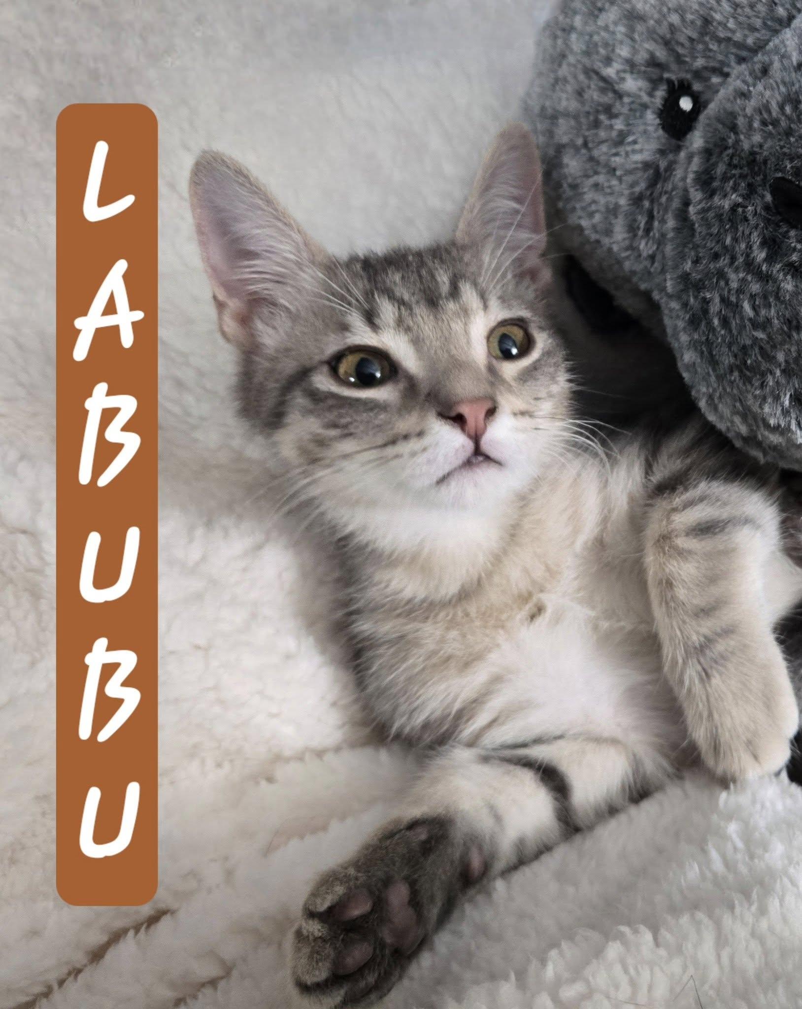LaBuBu
