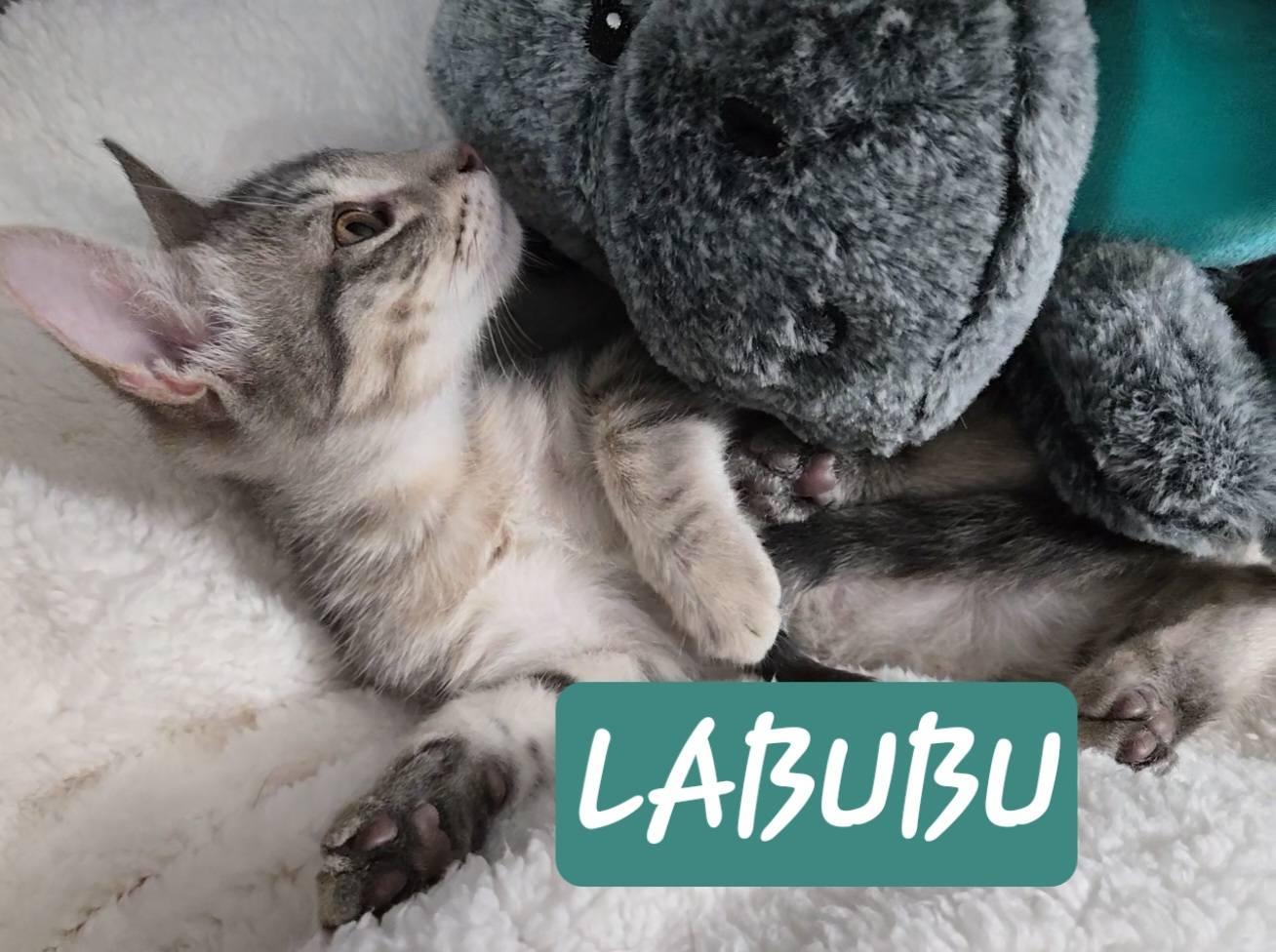 LaBuBu
