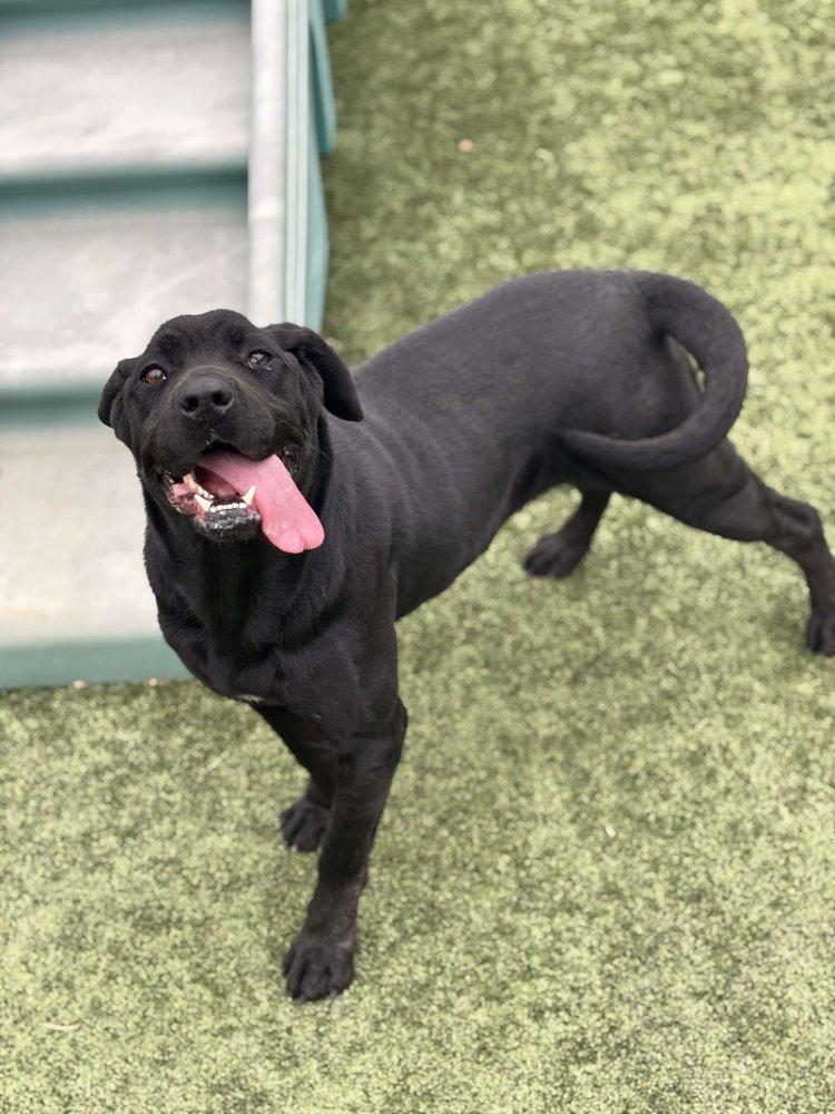 Midnight — thumbnail 2