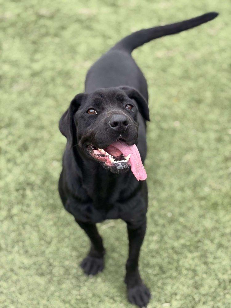 Midnight — thumbnail 3