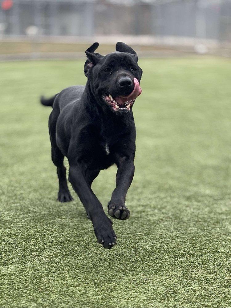 Midnight — thumbnail 4