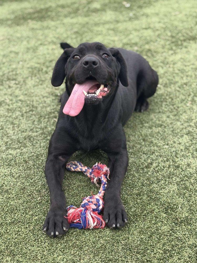 Midnight — thumbnail 5