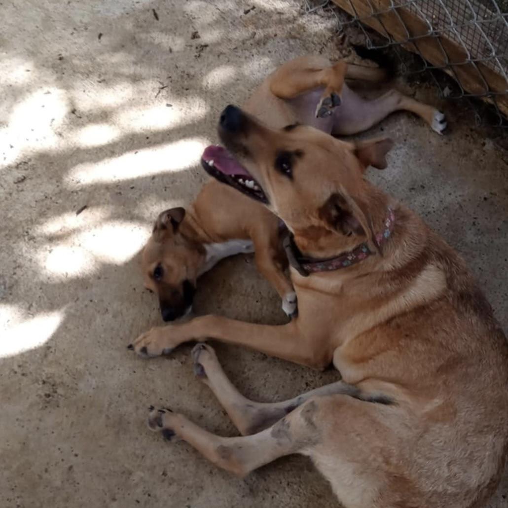 Mister Felipe (20251013-05) — thumbnail 3