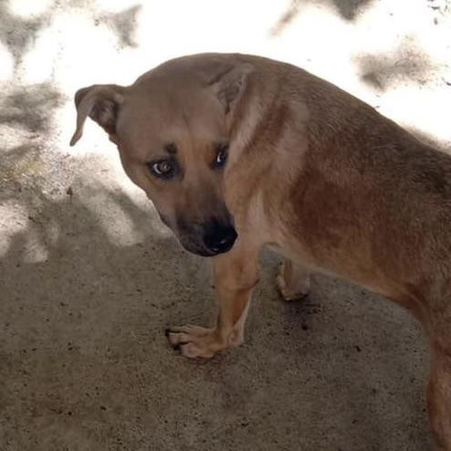 Mister Felipe (20251013-05) — thumbnail 5