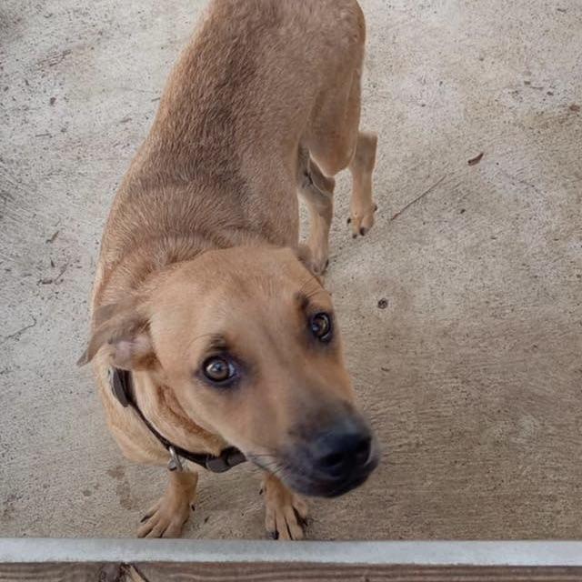 Mister Felipe (20251013-05) — thumbnail 6