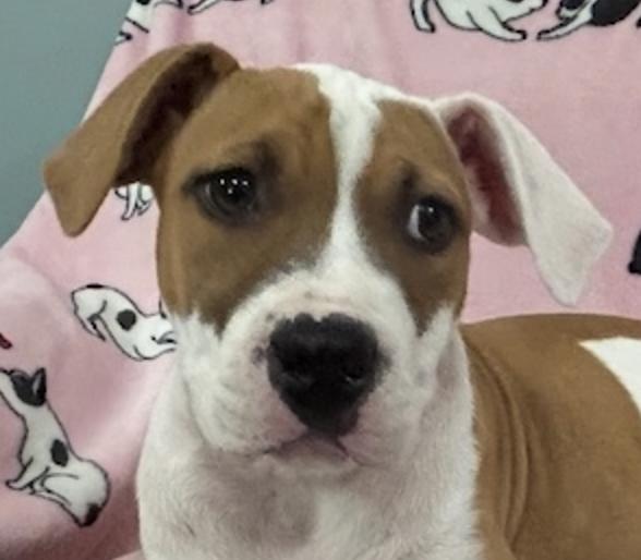 Sassy Glow — thumbnail 2