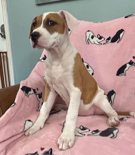 Sassy Glow — thumbnail 4