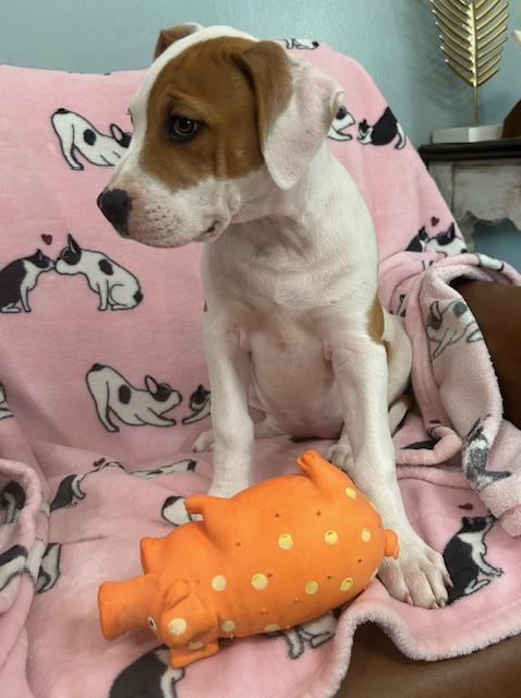 Sassy Glow — thumbnail 5