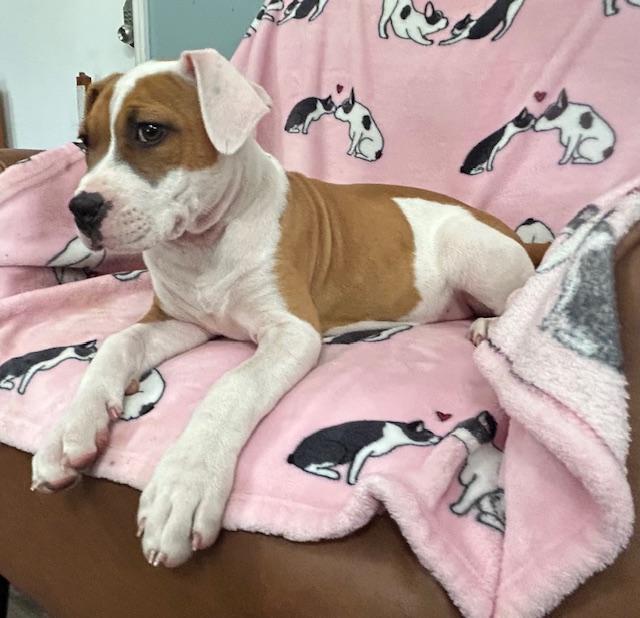 Sassy Glow — thumbnail 6