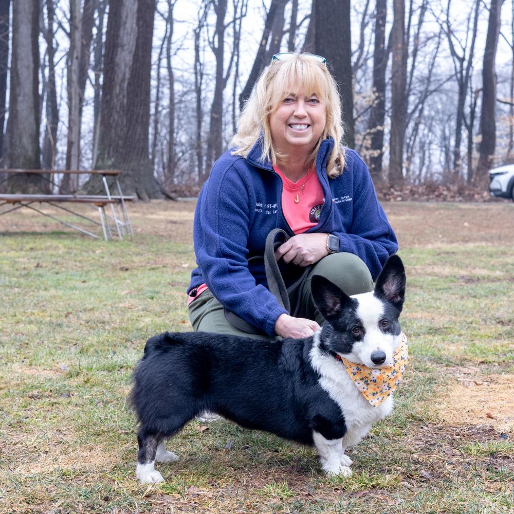 Enlarge Cookie  (Female)   Avail  3/7  per vicki have adoption pending, an adopted Pembroke Welsh Corgi in West Grove, PA image 3/6