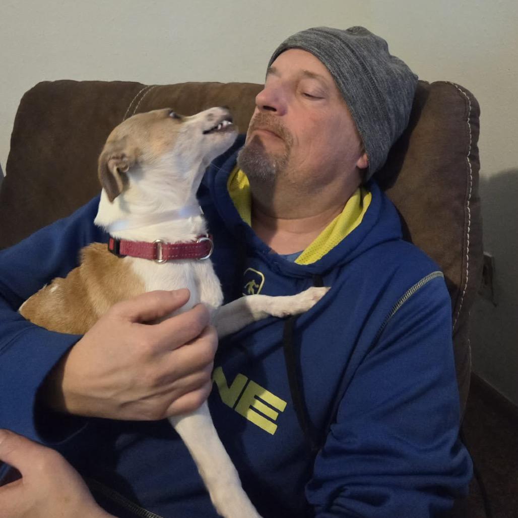 Enlarge Poe, a Adoptable mixed breed in Tomah, WI image 3/6