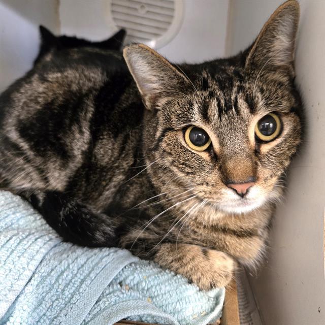 TARGET — thumbnail 2