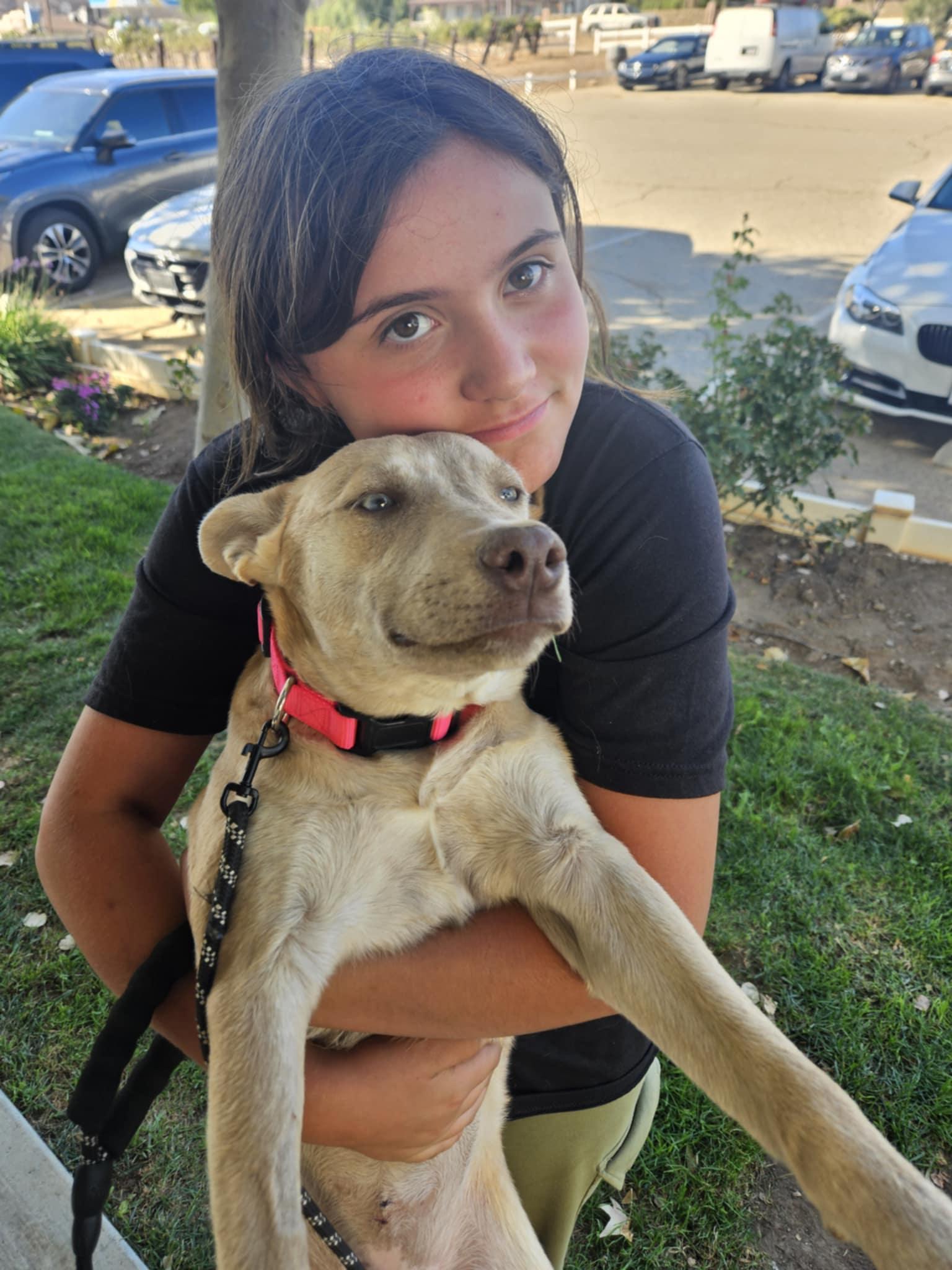 Meet Stevie – The Shy Dreamer with a Heart of Gold