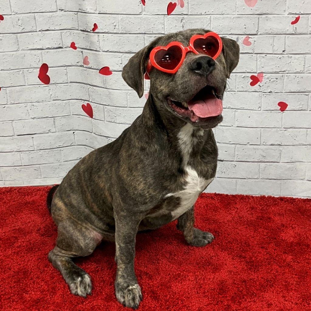 Jamie Foxx — thumbnail 4