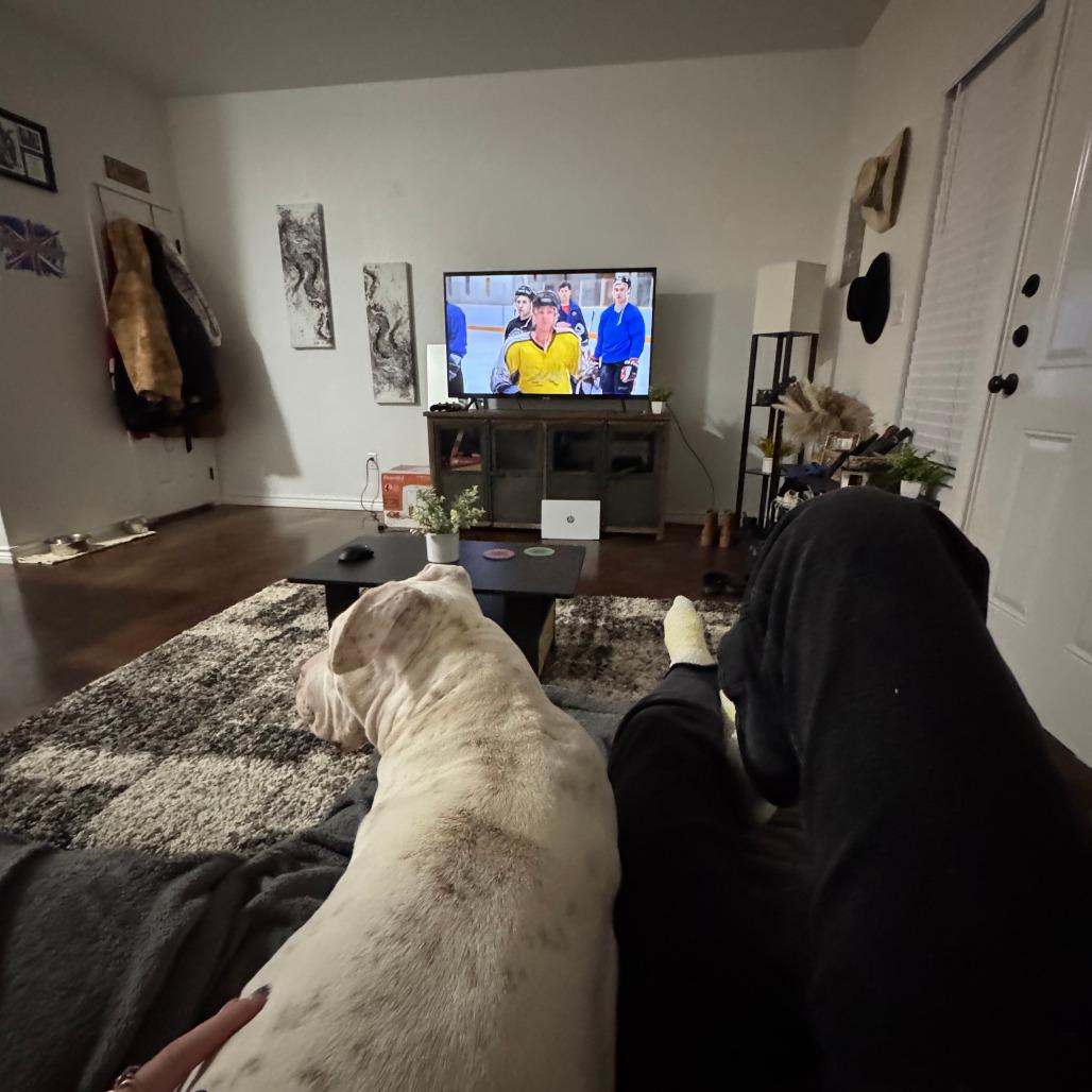 Kira, Adoptable, Senior Female Pit Bull Terrier.