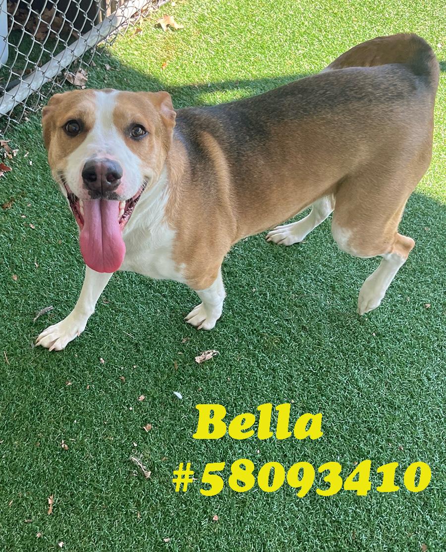 Bella