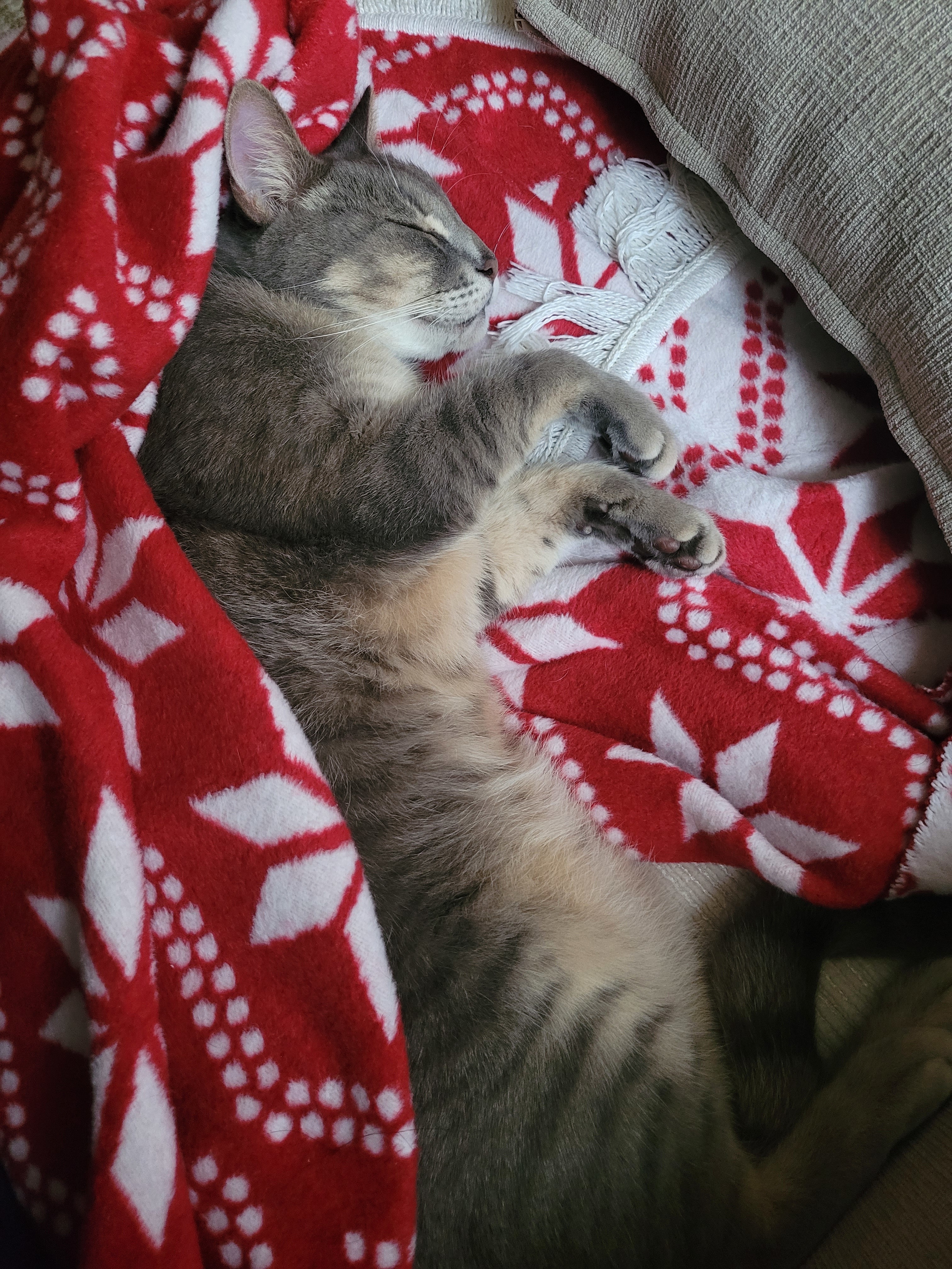 Peaches