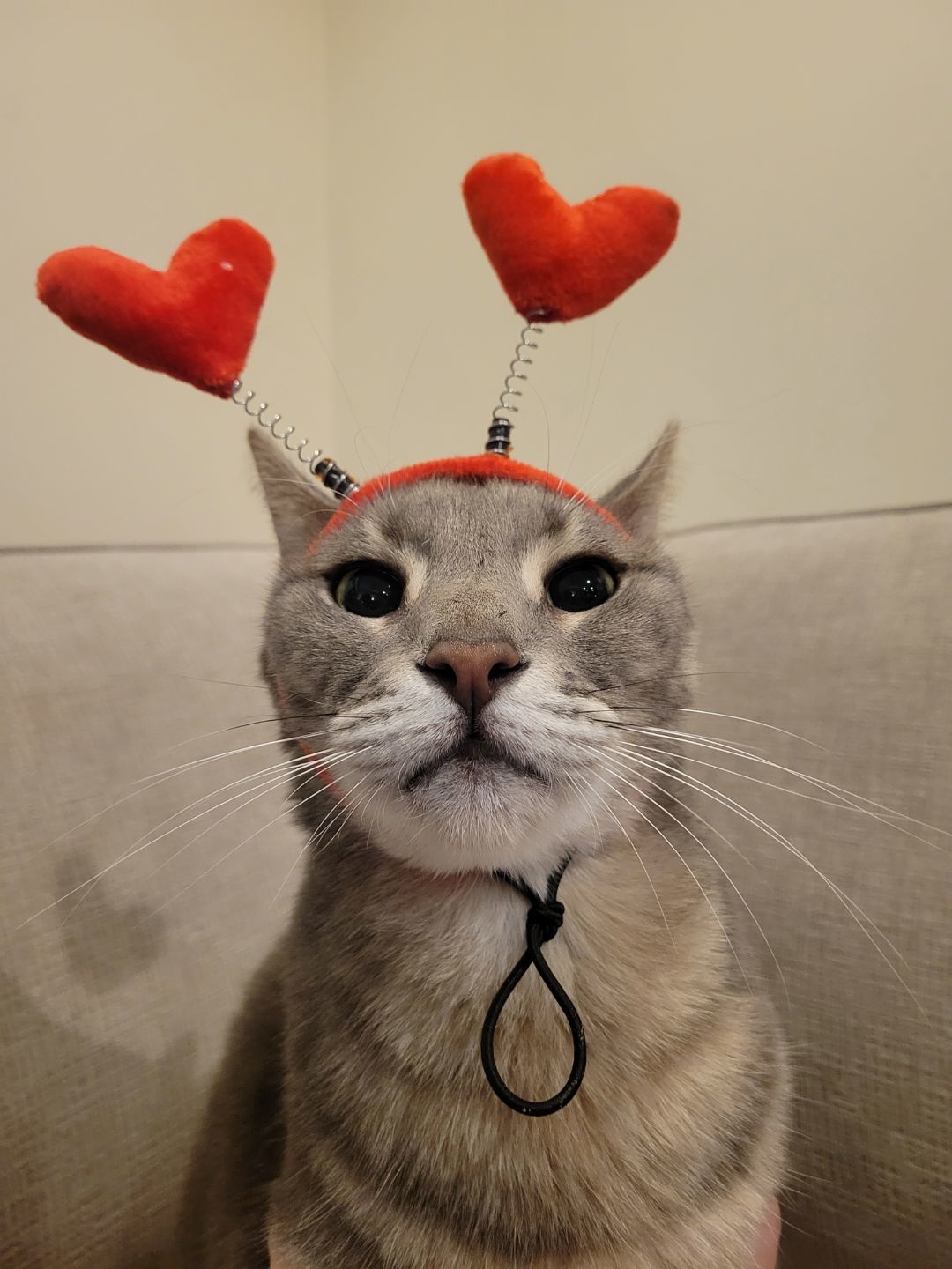 Peaches 4