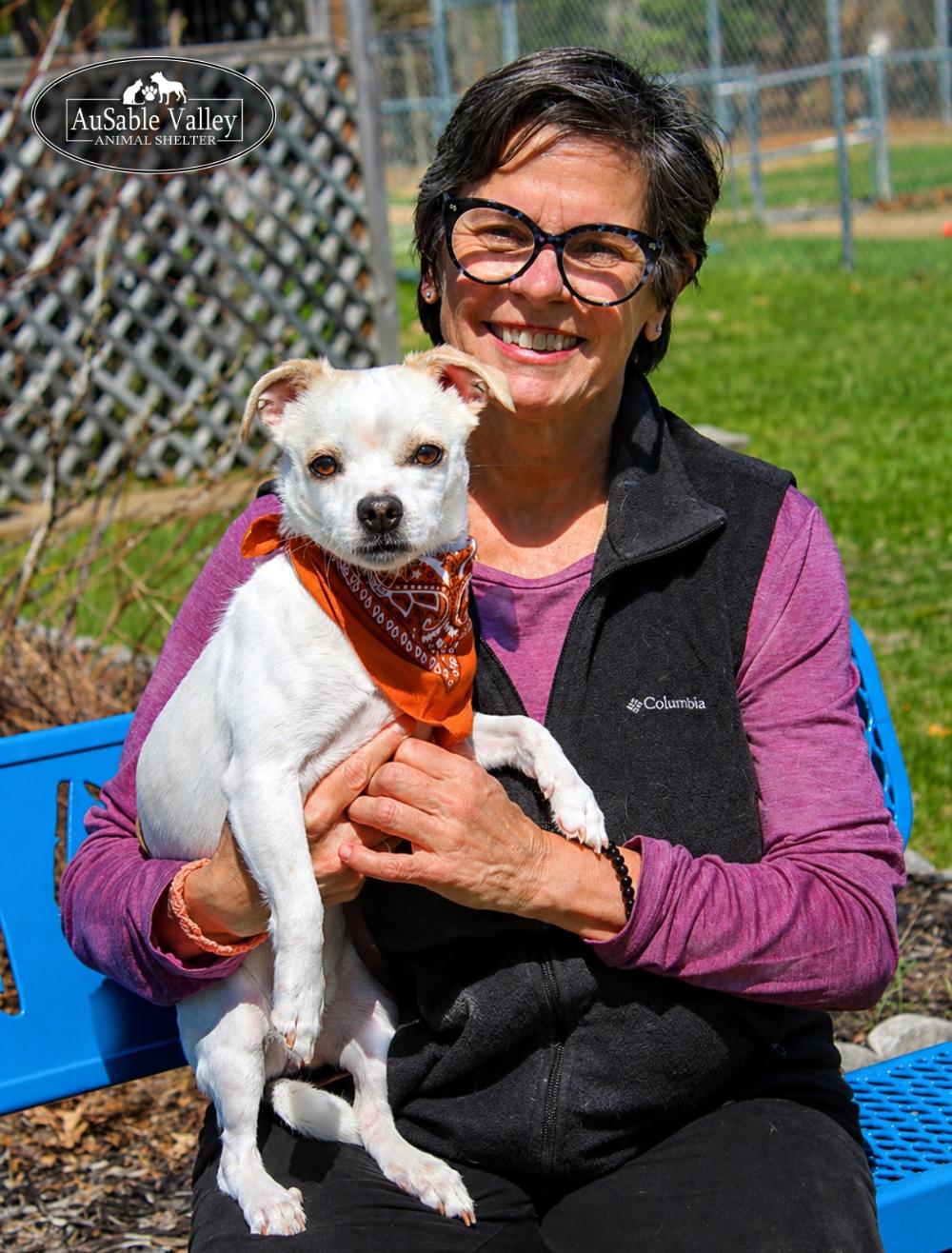 Enlarge Kyle, a ADOPTABLE mixed breed in Grayling, MI image 5/6