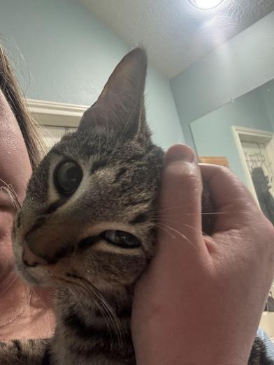 Emmitt — thumbnail 3