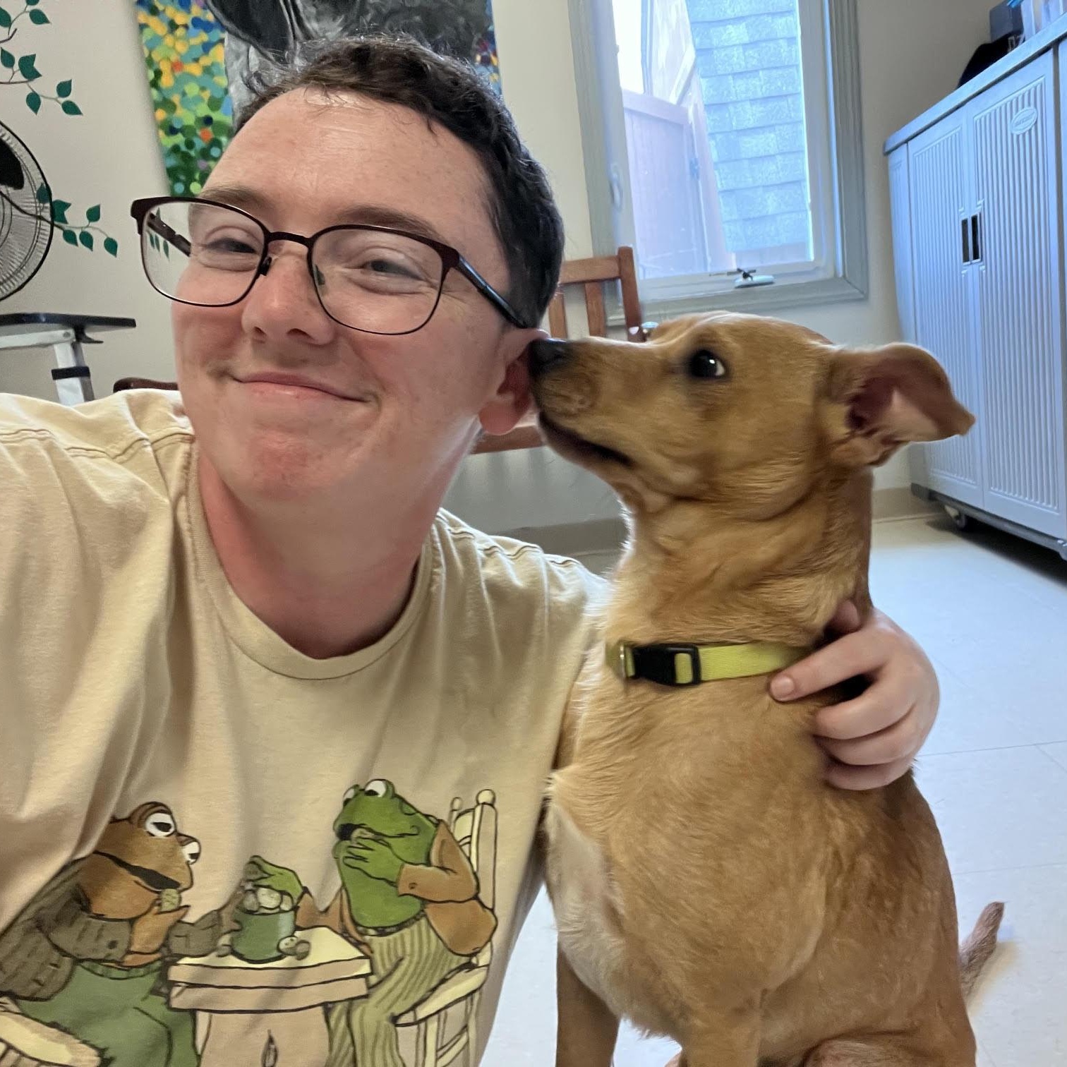 Tom, an adopted mixed breed in West Jefferson, OH image 3/5