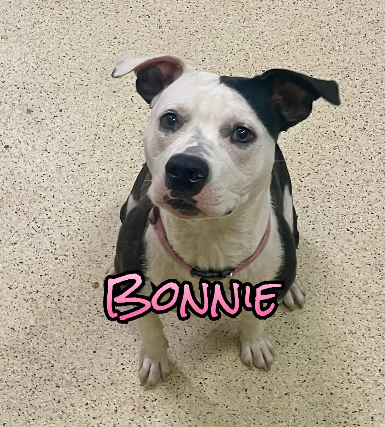 Bonnie