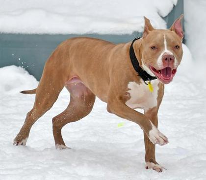 Hennessey — thumbnail 3