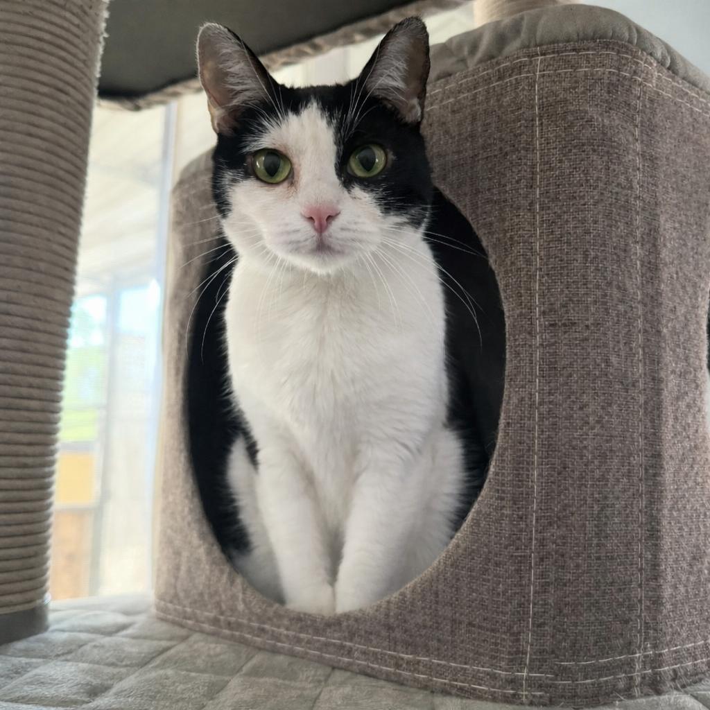 Kadee — thumbnail 2