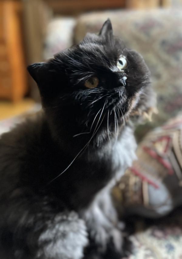 GARY