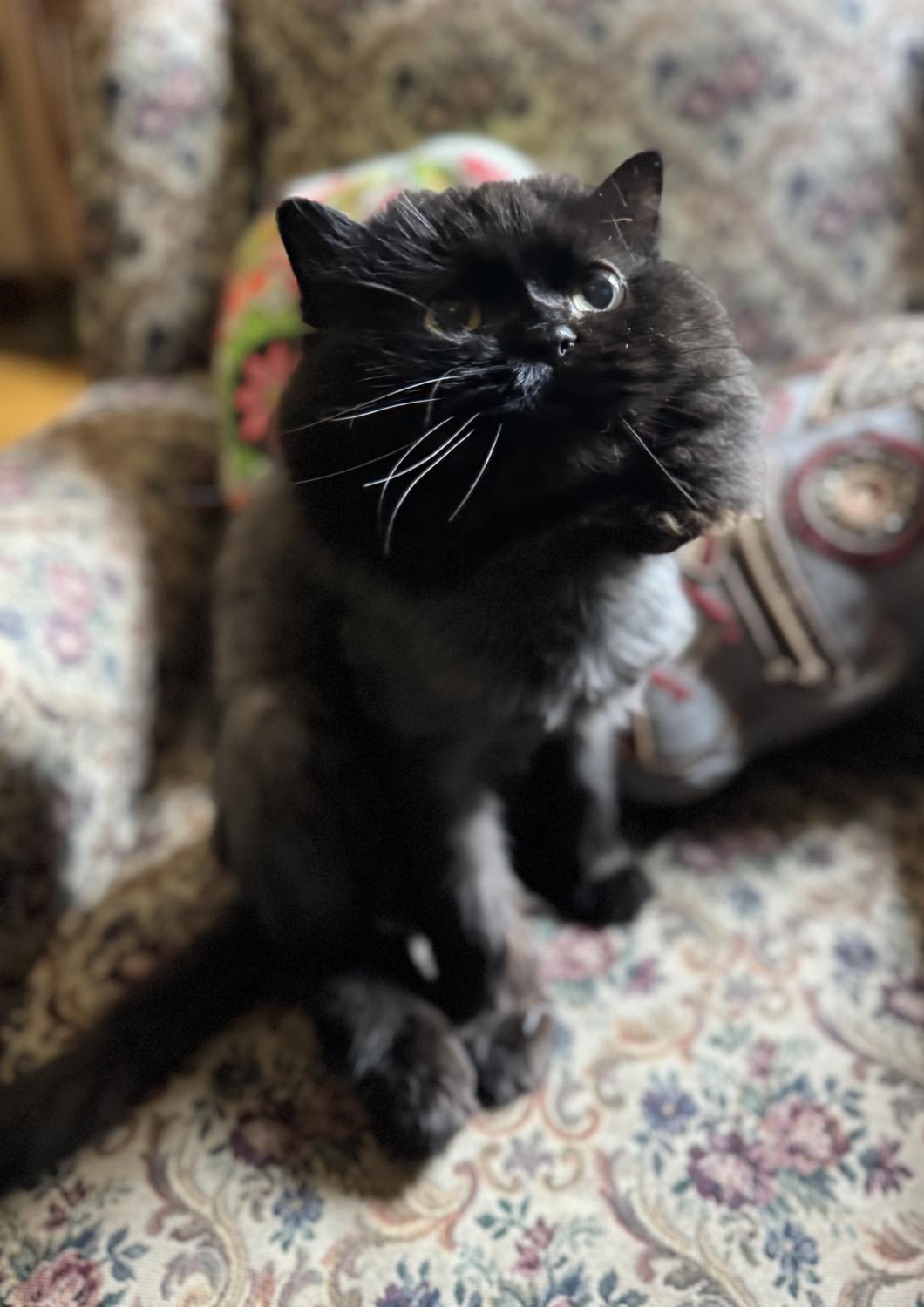 GARY