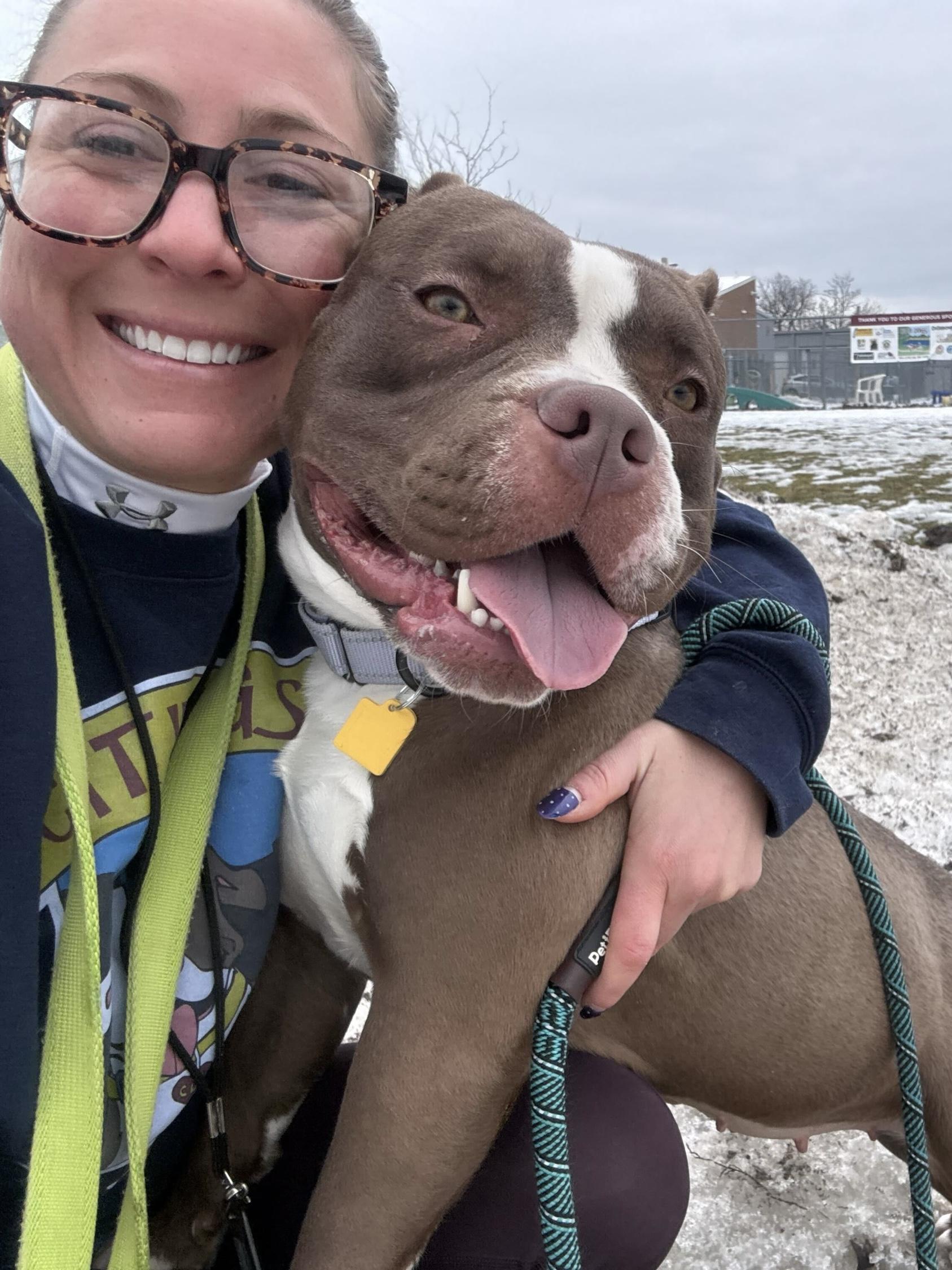 Ms Little Tail, adoptable, Young Female Pit Bull Terrier.