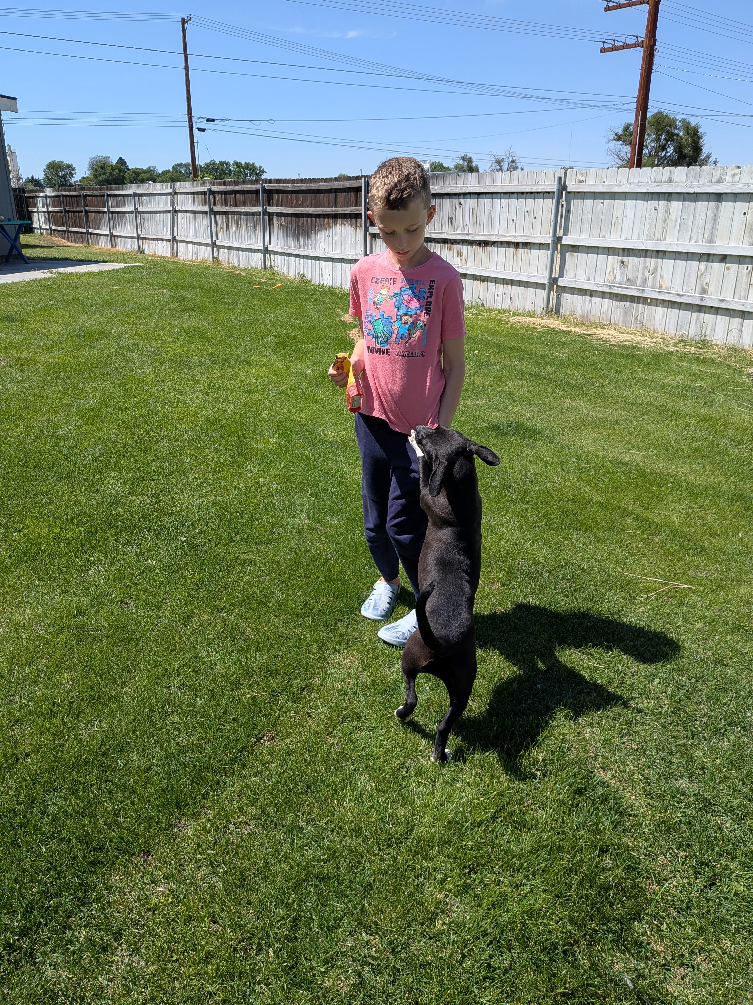 Ella, a ADOPTABLE Mixed Breed in Hermiston, OR image 4/5
