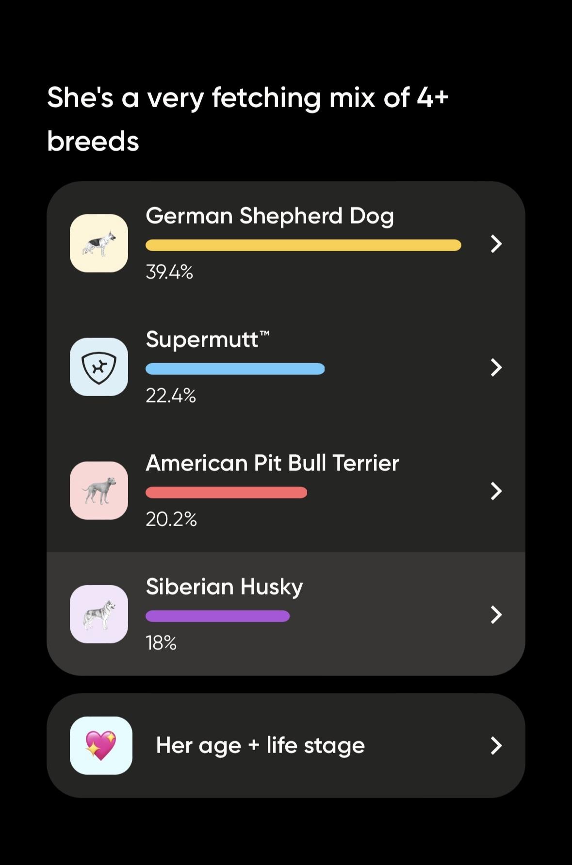 Enlarge Merle, a ADOPTABLE mixed breed in China Township, MI image 4/4