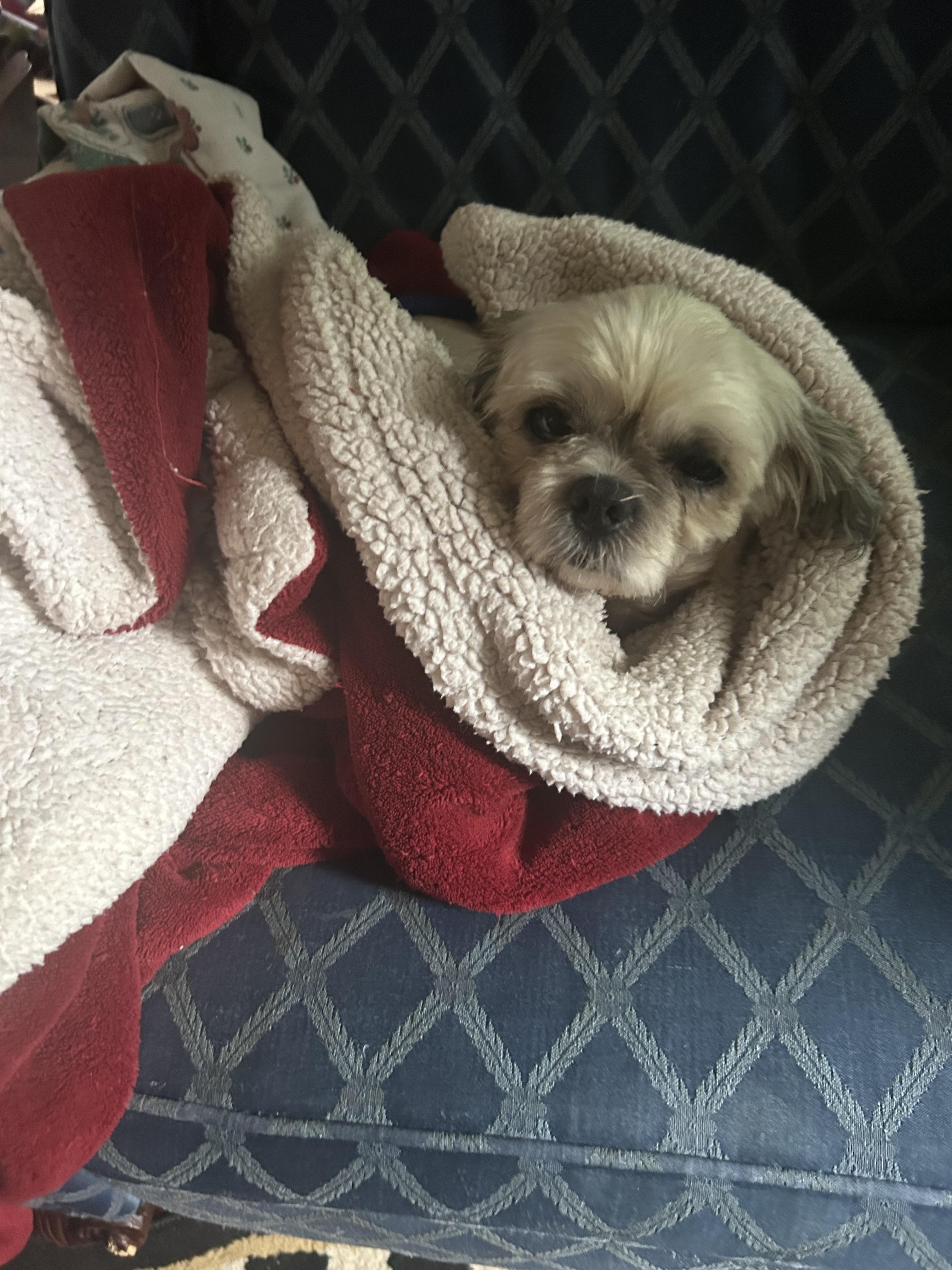 Oscar