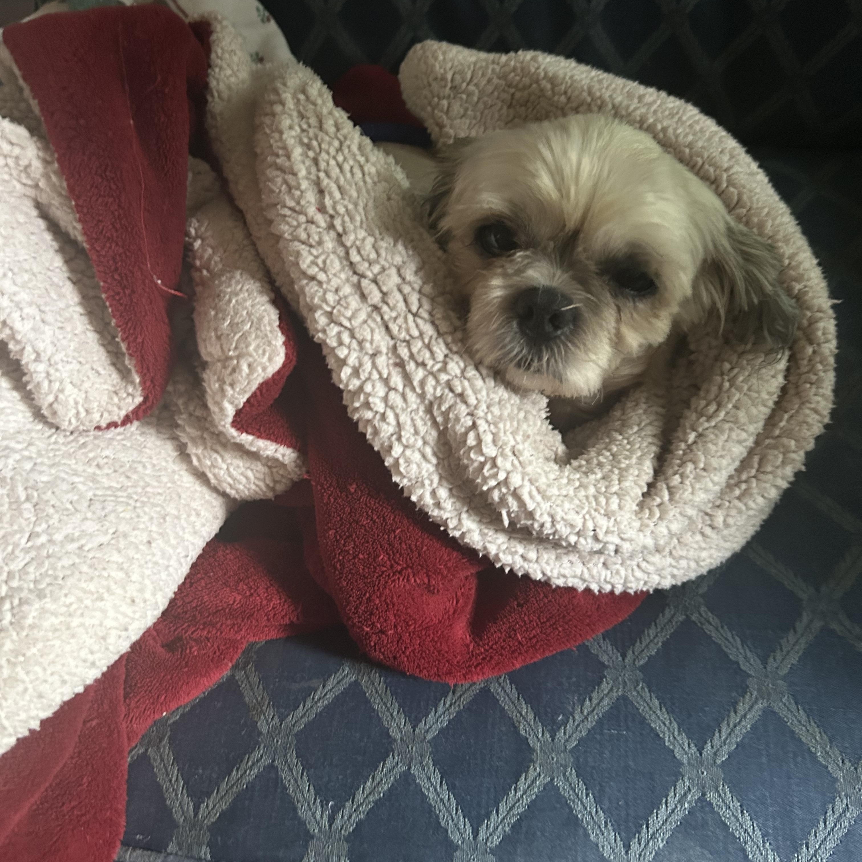 Oscar