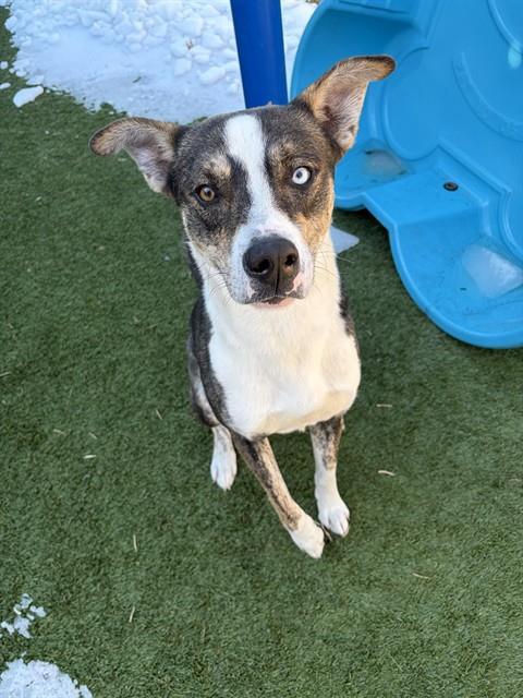 MARLY — thumbnail 2