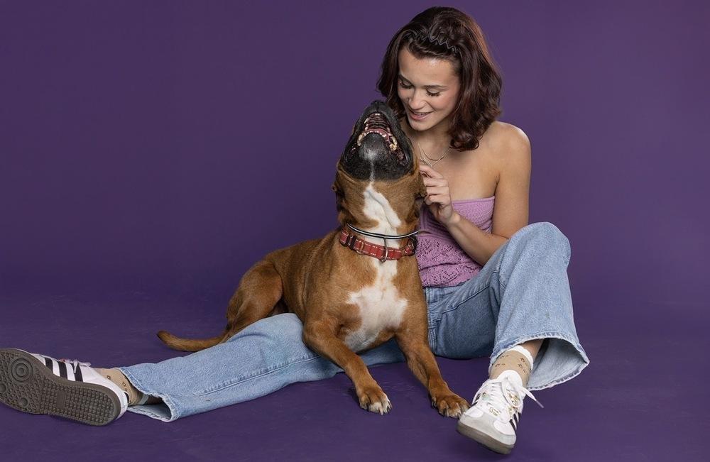 Enlarge Lexi, a Adoptable mixed breed in Tulsa, OK image 1/6