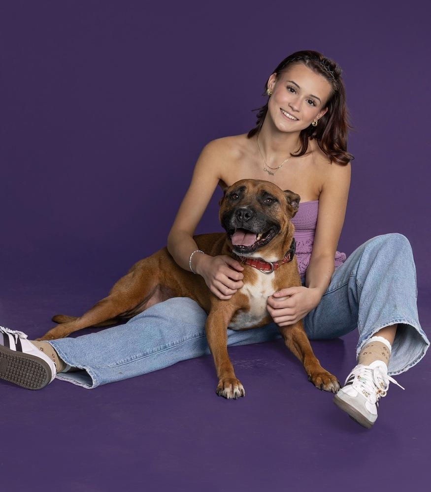 Enlarge Lexi, a Adoptable mixed breed in Tulsa, OK image 2/6