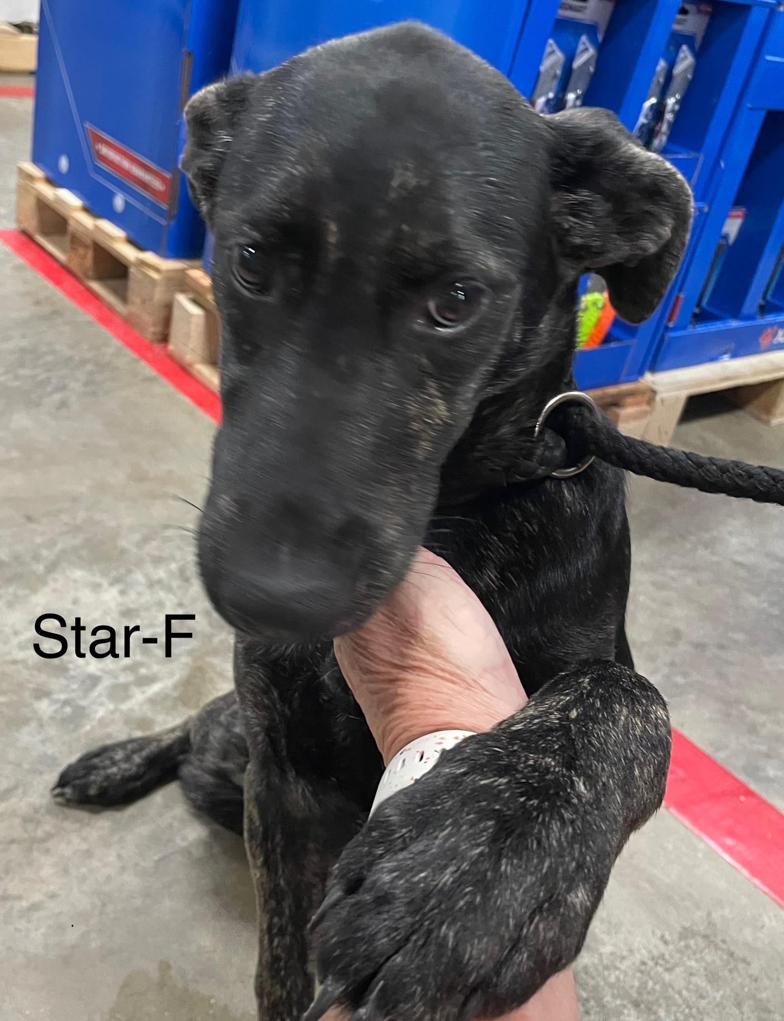 Star