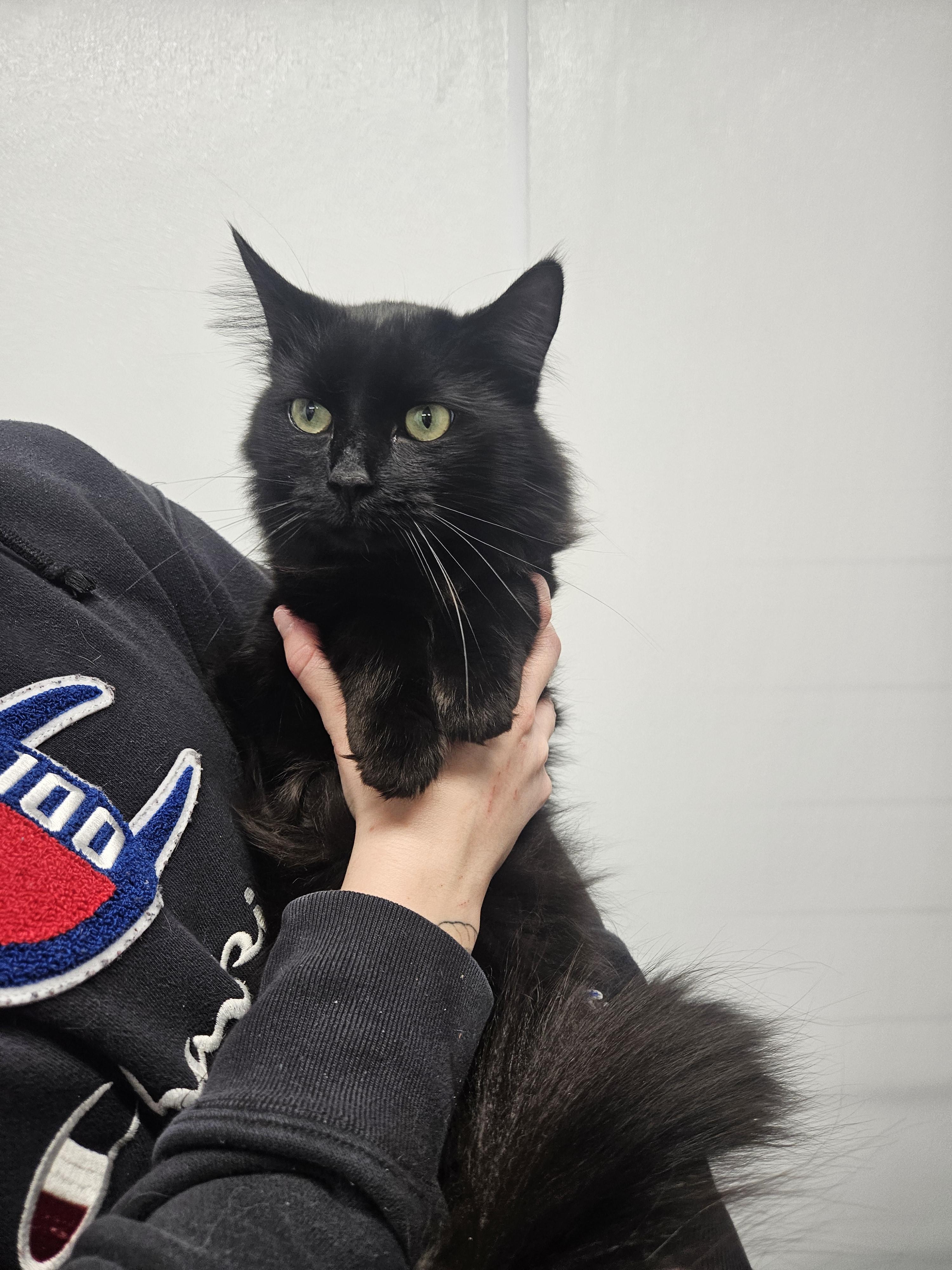 Salem
