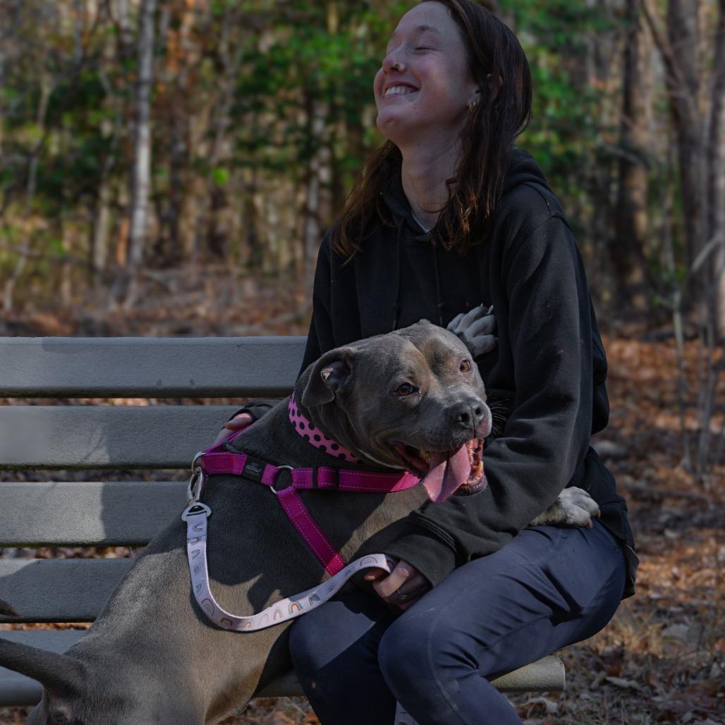 Cora (I Have a Secret Crush!), a Adoptable mixed breed in Decatur, GA image 2/6