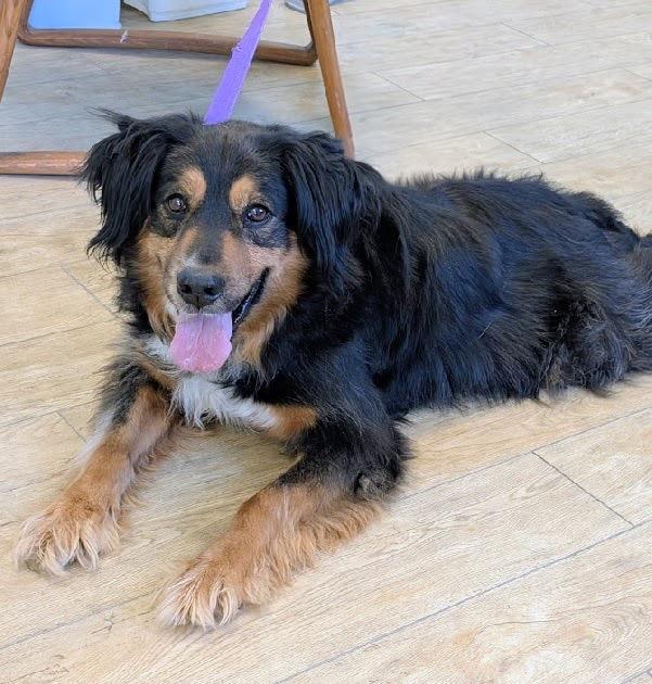 Kaylee — thumbnail 2