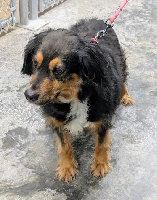 Kaylee — thumbnail 3