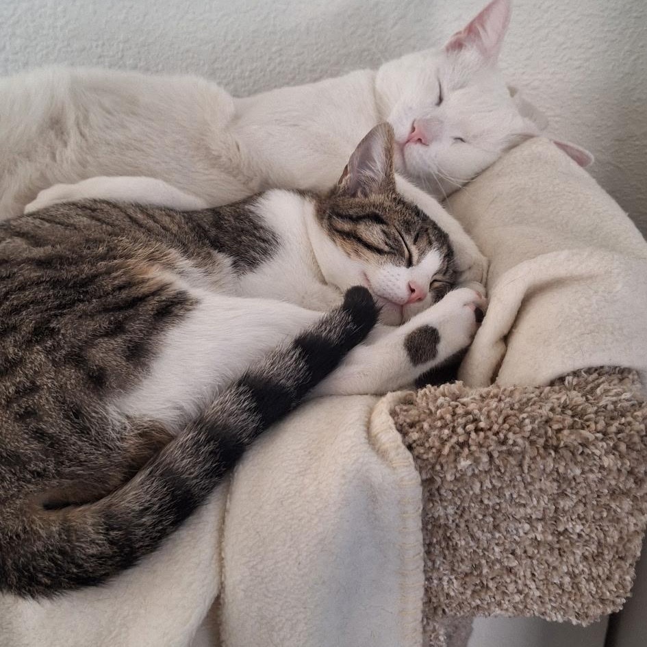 Macy and Phoenix photo 6