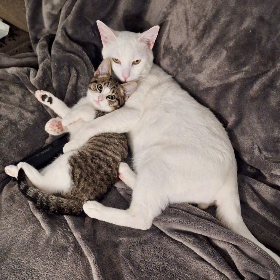 Macy and Phoenix photo 3